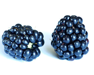 two of blackberries