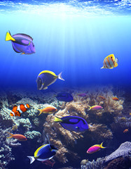 Naklejka na ściany i meble Underwater scene with tropical fish