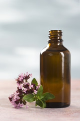 huile essentielle d'origan