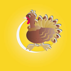 Turkey in the circle