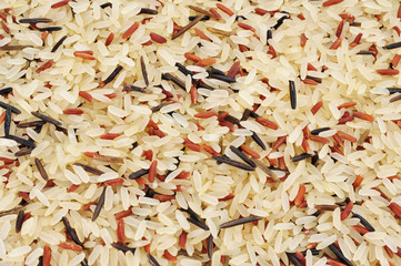 wild rice