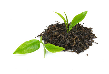 Green tea leaf isolated on white background