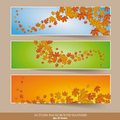 Three Colored Autumn Banners Colored Background