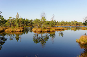 Obraz premium Bog-pools