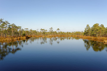 Bog-pools