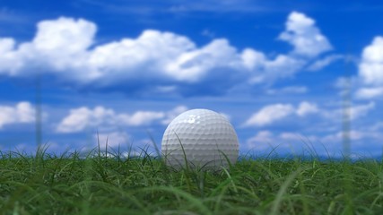 golf ball on grass