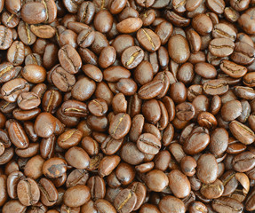 Collection of Coffee beans isolated 