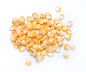 corn isolated on white background