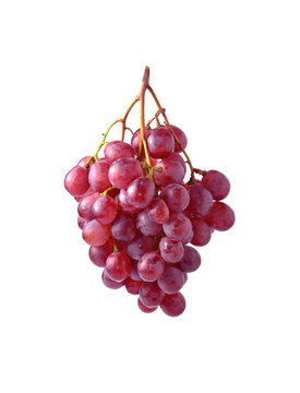 Grape Isolated On White Background