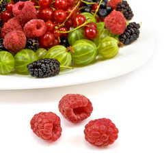 different berries on a white background
