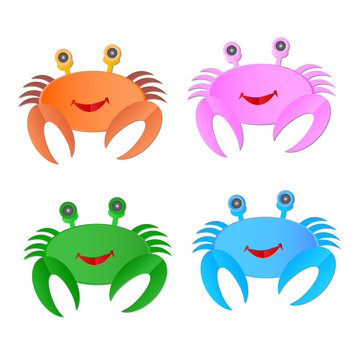 Vector image of an crab on white background
