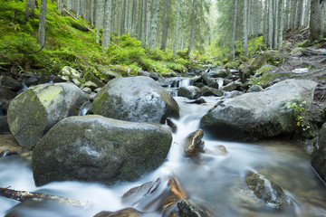 mountain river in the mountains of the Ukrainian Carpathians