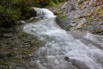 Naklejka premium あだたら渓谷 昇龍の滝