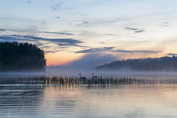 fog over a lake