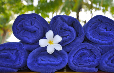 Frangipani flower between towels
