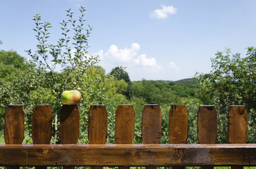 picket fence with apple