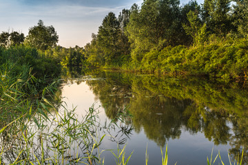 Nature of Ukraine. June 2014