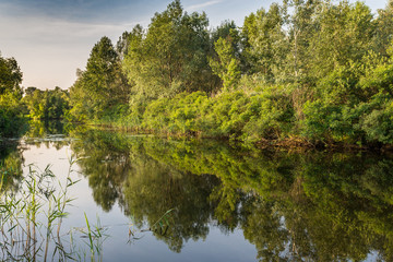 Nature of Ukraine. June 2014