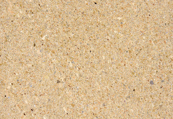 Plate from sandstone closeup