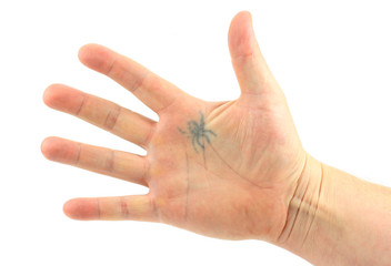 hand with a tattoo on a white background