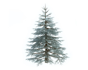 Fototapeta premium 3D Pine Tree in Winter