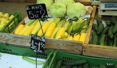 corn on the cob and corn sold in the fruit and vegetable market © ChiccoDodiFC