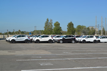 Fototapeta na wymiar New cars stand on the territory of automobile plant
