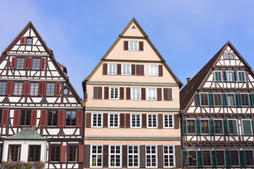 Fototapeta na wymiar Fachwerkgebäude in Tübingen, Deutschland