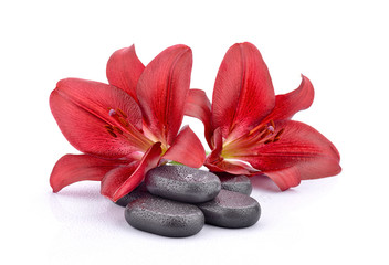 Kamienie bazaltowe z czerwonymi liliami - obrazy, fototapety, plakaty