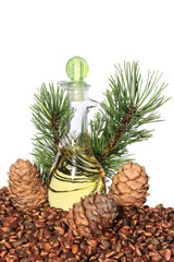 Cedar cones, nuts and cedar nut oil isolated on white background
