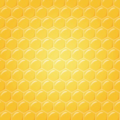 Honeycomb as illustration background, soft light