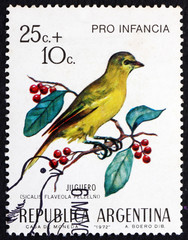 Postage stamp Argentina 1972 Saffron Finch, Bird