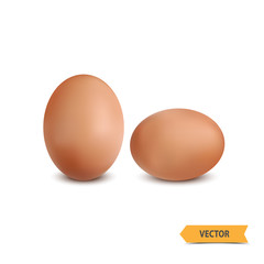 Egg realistic orange on a white background.