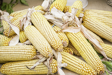 Corn in greengrocers
