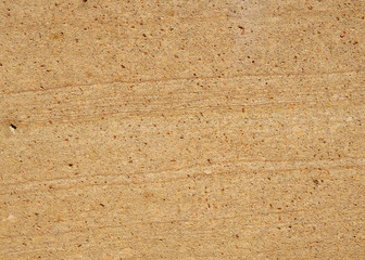 Plate from sandstone closeup