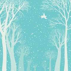 Background image of a winter forest