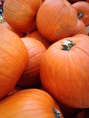 Large Pumkins Stacked at the Market