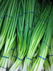 Fresh Onion Bulbs at the Market