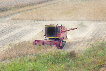 Fototapeta premium Soybean harvest