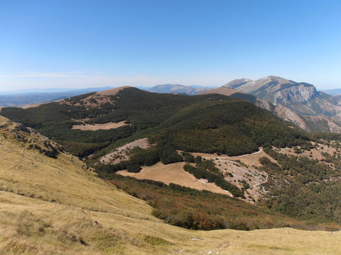 Monti