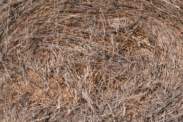 Haystacks background