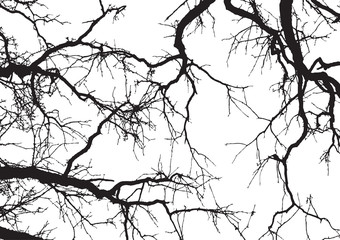 Baum und Äste3