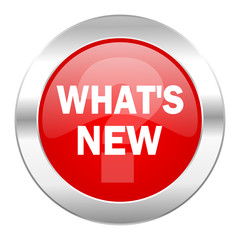 new red circle chrome web icon isolated