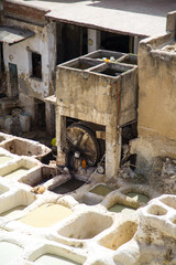 Tannery in Fez, Morocco