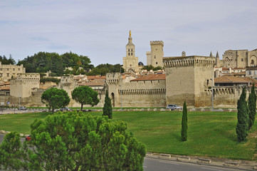 Fototapeta na wymiar Avignone, le mura e la citta' vecchia