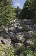 View of stone river in Vitisha mountain, Bulgaria