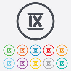 Roman numeral nine icon. Roman number nine sign.