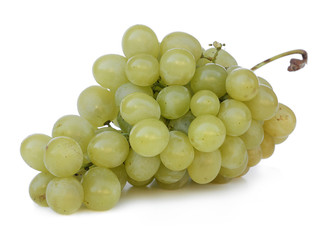white grapes on white background