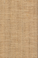 Linen Duck Unprimed Canvas Coarse Grain Grunge Texture