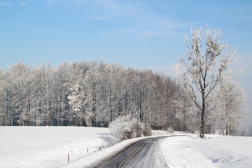 Winter country road